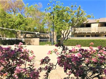 Sand Volleyball Court